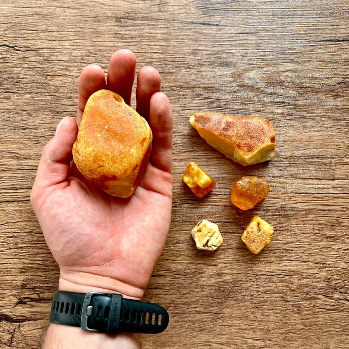 Zestaw PRO - latarka UV na bursztyn