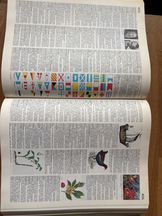 Encyklopedia popularna PWN