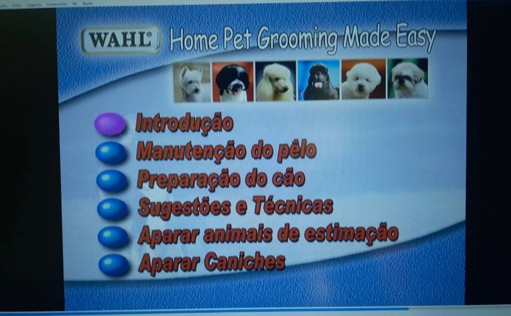 CD's originais para pc