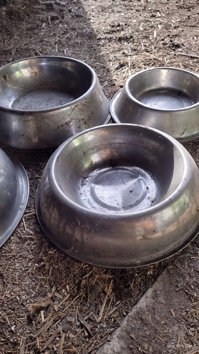 Miski, miseczki do karmienia psa, zwierząt