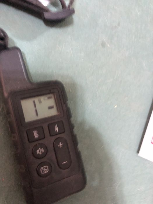 Coleira treino cão gato com   controlo remoto