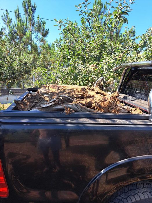 Lenha de Eucalipto Rachada Seca e Pronta a Queimar