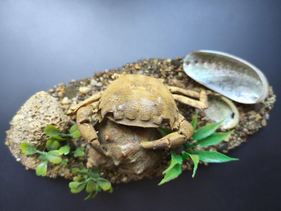 Статуетки, оздоба для акваріума