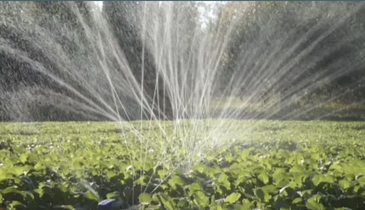 Лента для полива Туман, спрей лента Туман, шланг Туман 50м, 100м, 200м