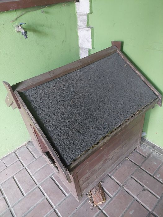 Buda dla psa 72cmdł.
