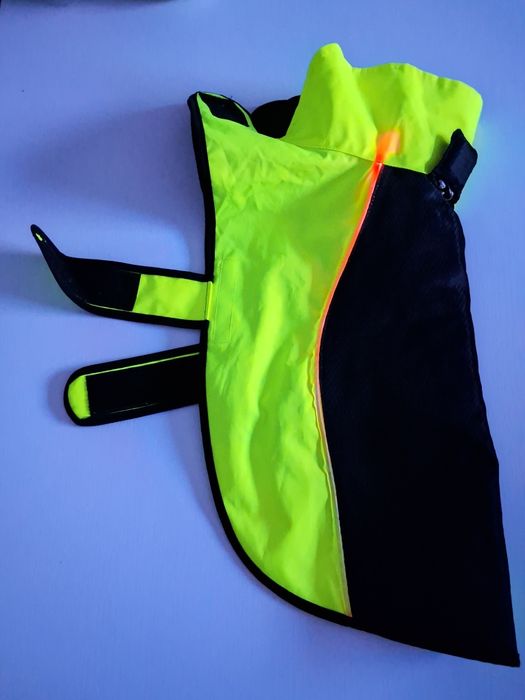 Ubranko dla Psa świecące