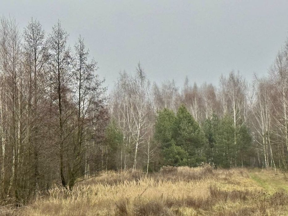 Земельна ділянка 6,9 Га!!! Калинівка !