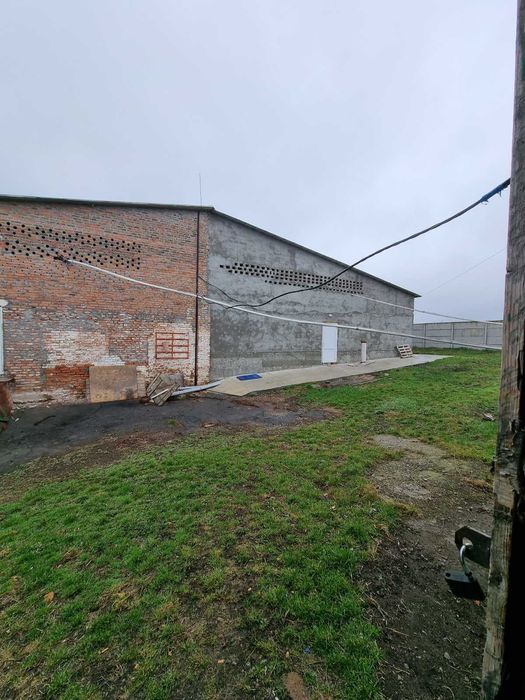 Продам сучасне підприємство свинофермуму