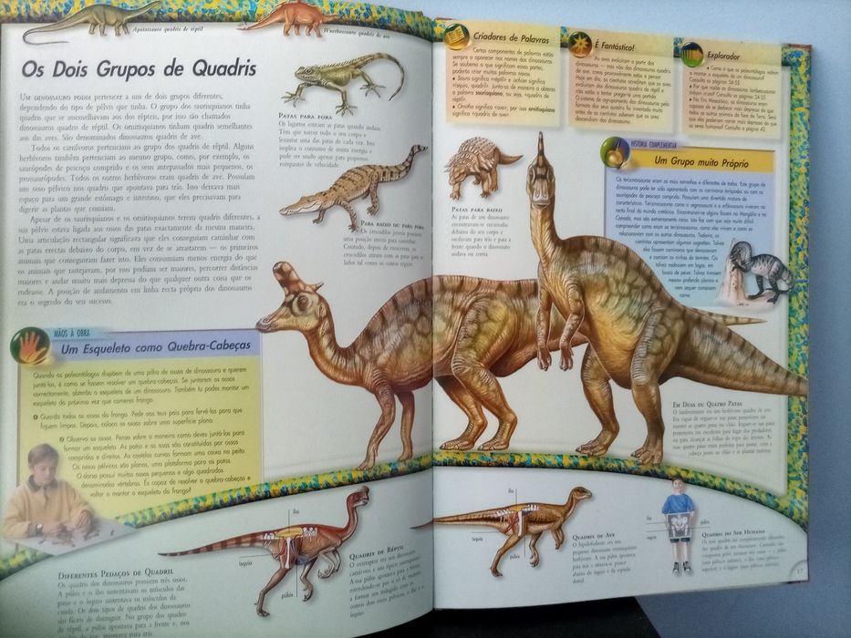Livro Dinossauros