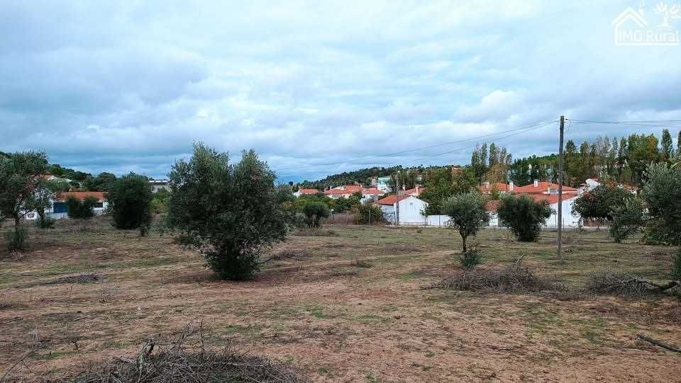 Quinta em Santarém (16,165HA)