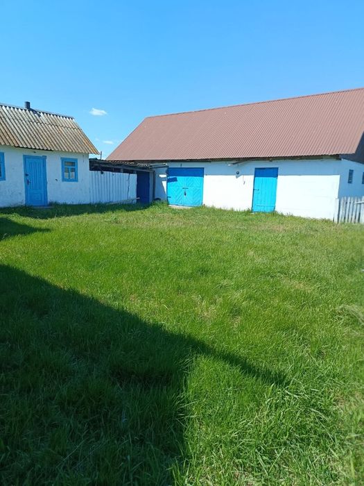 Цегляний будинок з земельною ділянкою та господарськими будівлями