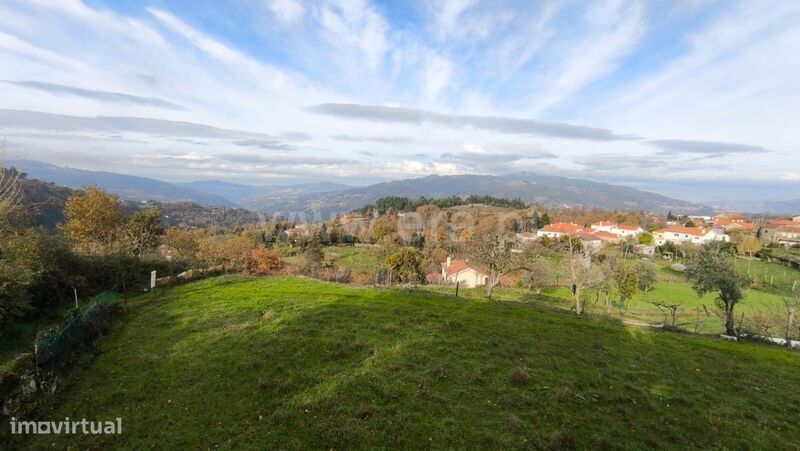 Terreno Rústico / Cinfães, Cinfães