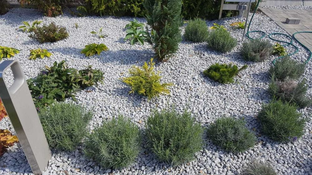 Grys granitowy, DALMATYŃCZYK 8-16, 16-22