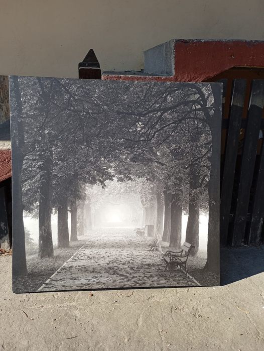 Obraz na płótnie Ikea 90na90cm.