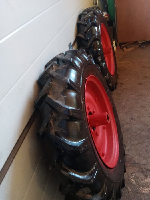 Dzik kola z piastami 16