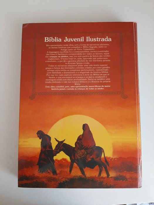Bíblia Juvenil Ilustrada (portes incluídos)
