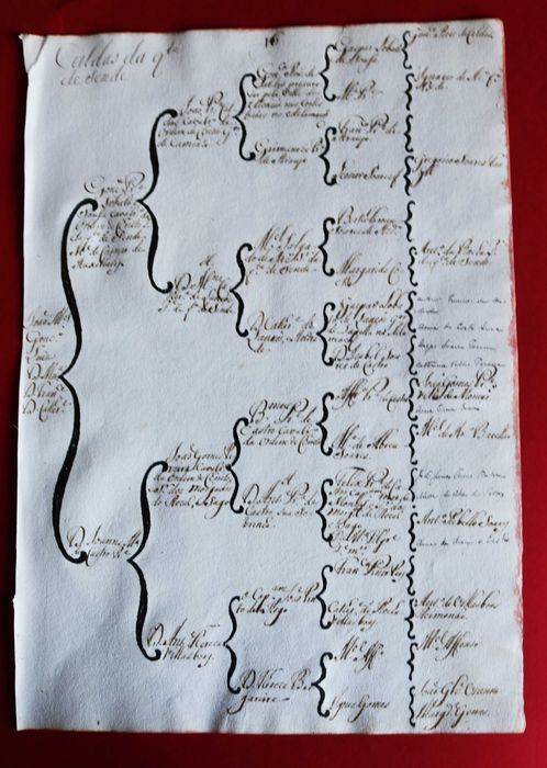 Os Caldas da Quinta de Sende, Monção árvore costados 1746