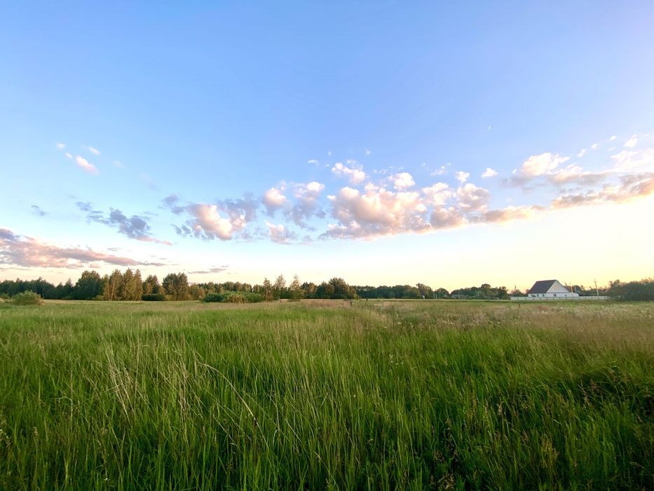 продам земельну ділянку 43 сот Київська Вишгородський Жукин садівництво