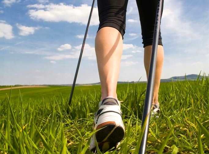 Kije do nordic walking 2 szt regulowane lekkie teleskopowe