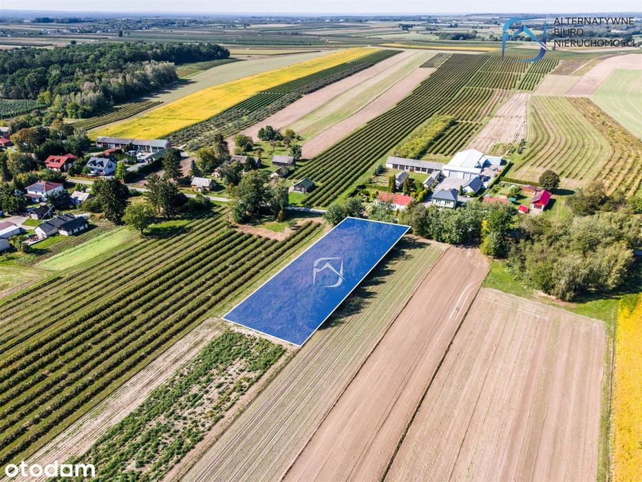 Zdjęcie 8