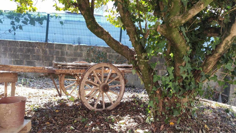 Carro de bois madeira