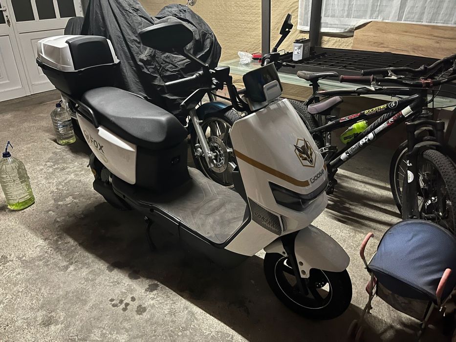 Fox scooter 2025