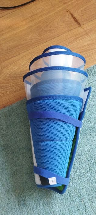 Cone de recuperação para animais de estimação