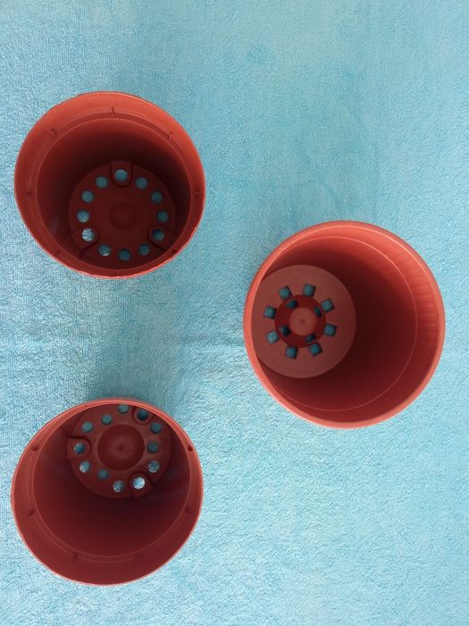 3 vasos para plantas de porte pequeno