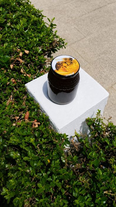 Mel de Flor de Castanheiro - Produção Biológica