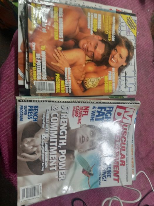 Musculatura  fitness