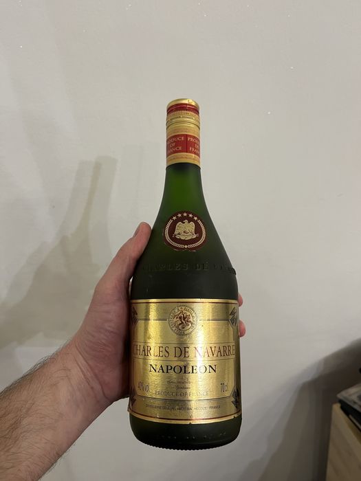 Napoleon Charles De Navarre