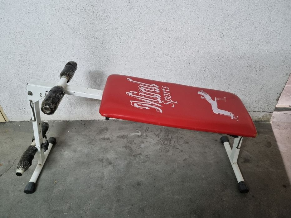 Abdominal Machine431549216458035202