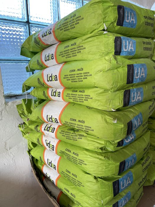 Насіння Lidea кукурудза