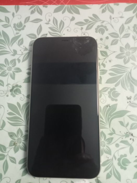 iPhone 11 sem riscos