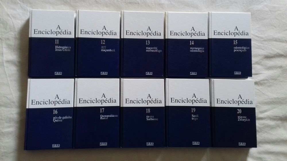 Enciclopédia Público - 20 Volumes - como novos