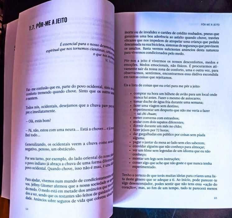 Livro desenmerda_te mindset