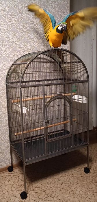 Клетка Новая ОЧЕНЬ большая