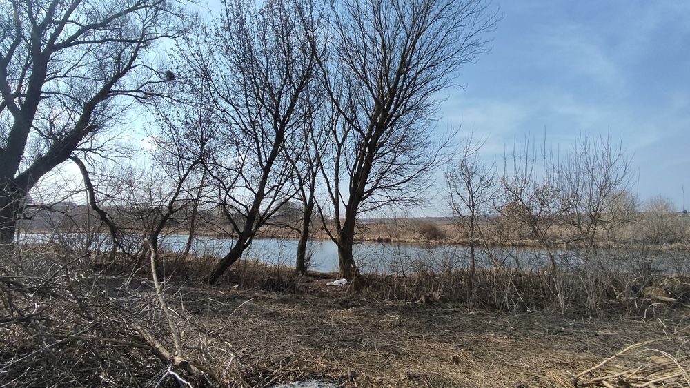 Продаж земельної ділянки біля Ставка с. Воютин 20 сот