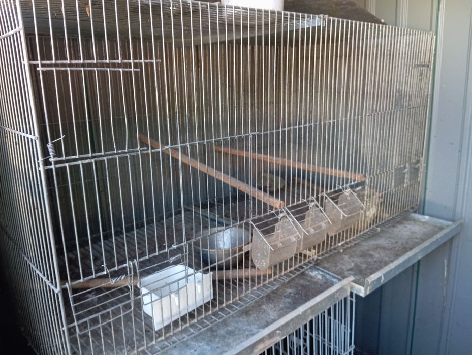 Gaiolas de criação caturras