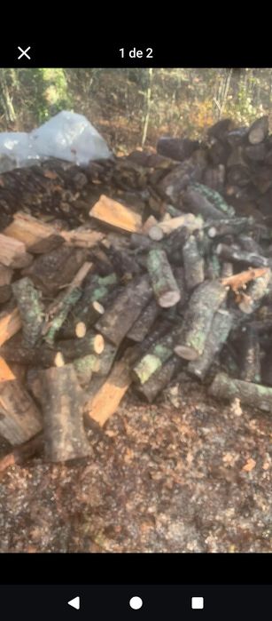Vendo Lenha de pinho e carvalho