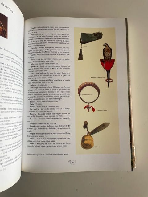 Oito séculos de caça em Portugal