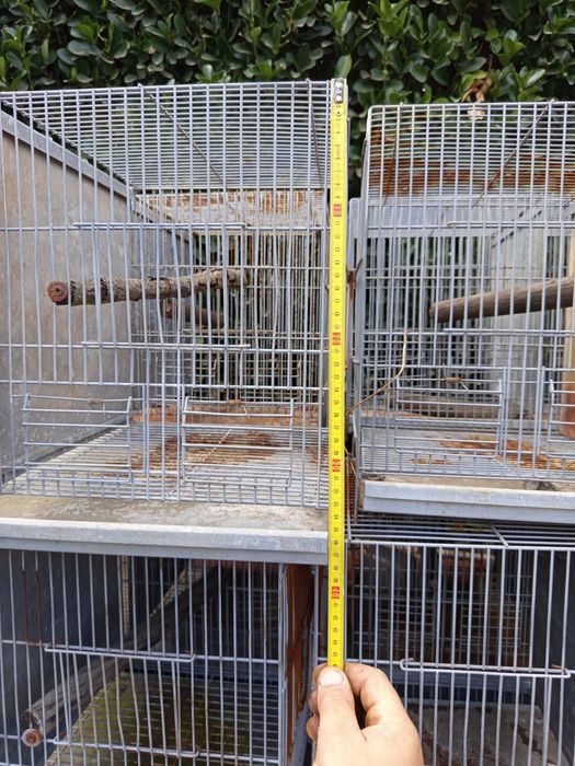 Oito Gaiolas Pássaros medidas pode observar nas fotos