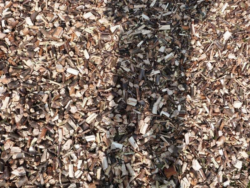 rębak spalinowy zrębkowanie rozdrabnianie gałęzi usługi rębakiem