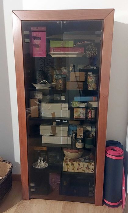 Móveis de Sala de Estar em Excelente Estado