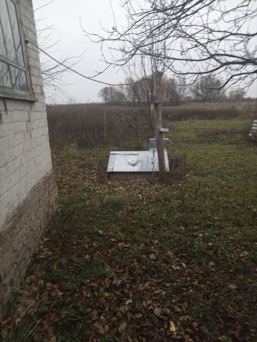 Продається будинок в селі Підлісне Чернігівського району