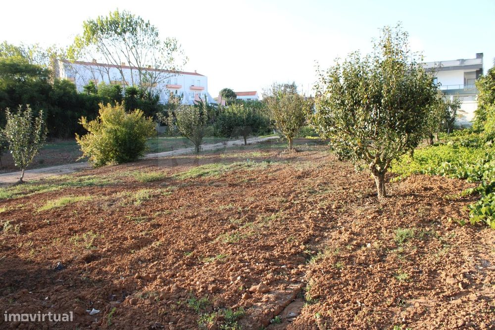 Terreno para Moradia T4 com Projeto Aprovado e Anexos | Lourinhã