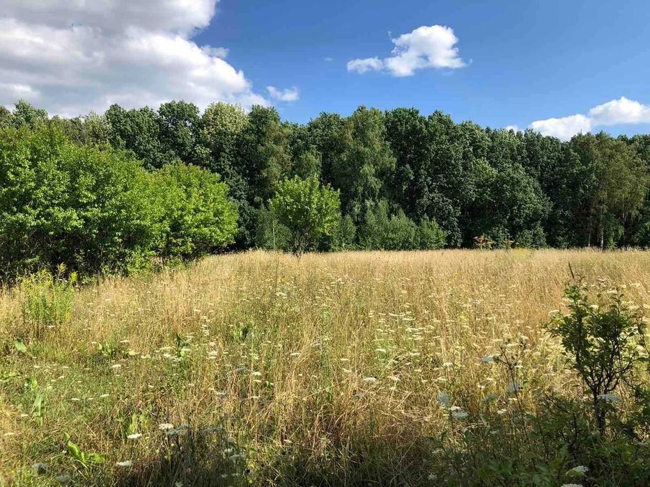 Продам ділянку с. Щітки (8387)