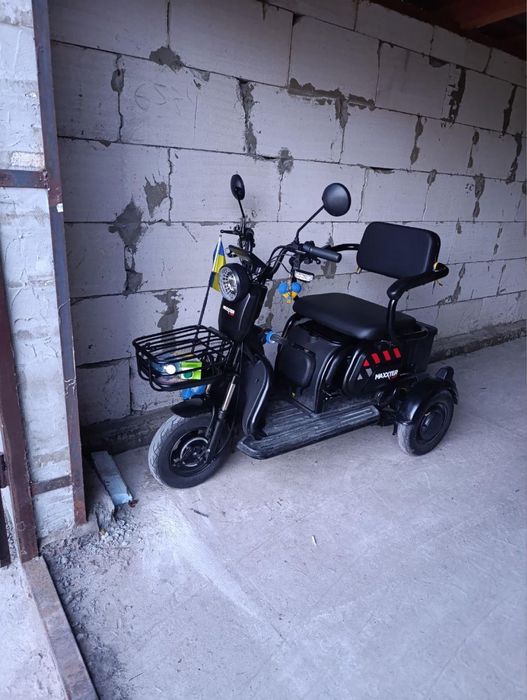 Еоектороскутер Maxter ANT