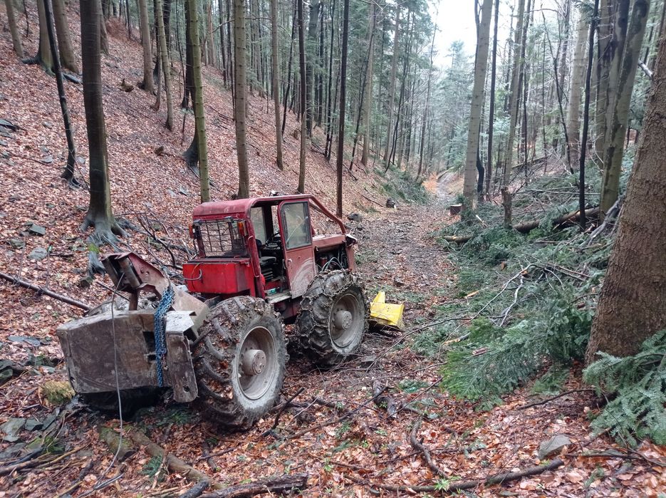 Usługi leśne , Ścinka, zrywka drzew, skup drewna cała Małopolska