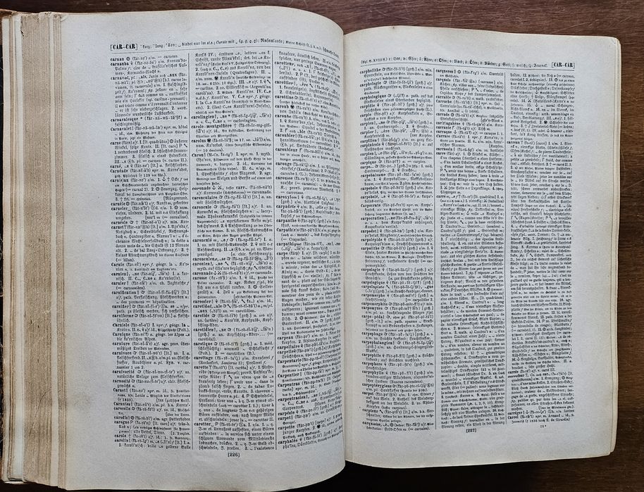 Stary słownik francusko niemiecki 1875